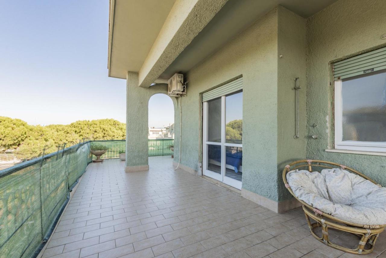 Rosa House Lejlighed Marina di Cerveteri Eksteriør billede